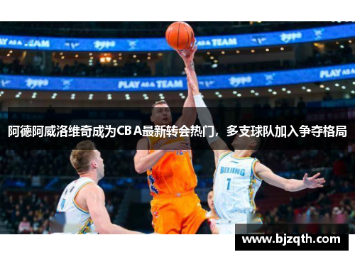 阿德阿威洛维奇成为CBA最新转会热门，多支球队加入争夺格局